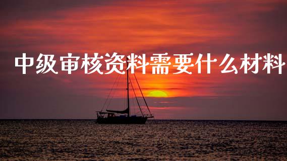 中级审核资料需要什么材料_https://cj002.lansai.wang_会计问答_第1张