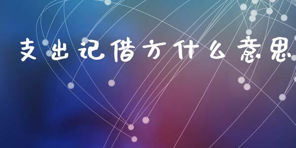 支出记借方什么意思_https://cj002.lansai.wang_会计问答_第1张