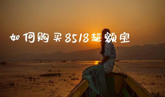 如何购买8518超额宝_会计问答_第1张_财经百问网 如何购买8518超额宝_https://cj002.lansai.wang_会计问答_第1张