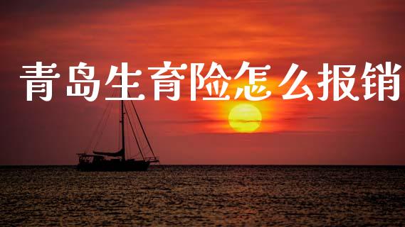 青岛生育险怎么报销_https://cj002.lansai.wang_保险问答_第1张