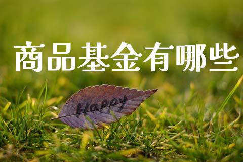 商品基金有哪些_理财问答_第1张_财经百问网 商品基金有哪些_https://cj002.lansai.wang_理财问答_第1张