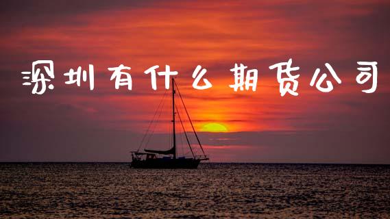 深圳有什么期货公司_https://cj002.lansai.wang_期货问答_第1张
