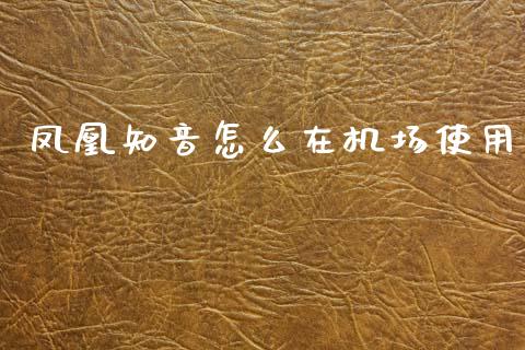 凤凰知音怎么在机场使用_https://cj002.lansai.wang_金融问答_第1张