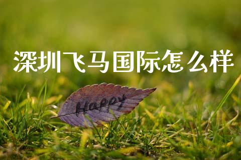 深圳飞马国际怎么样_https://cj002.lansai.wang_理财问答_第1张
