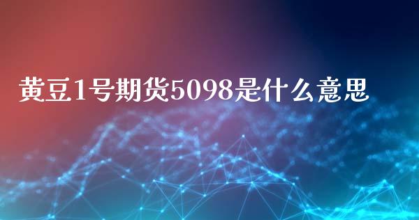 黄豆1号期货5098是什么意思_https://cj002.lansai.wang_会计问答_第1张