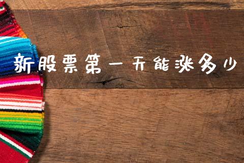 新股票第一天能涨多少_https://cj002.lansai.wang_理财问答_第1张