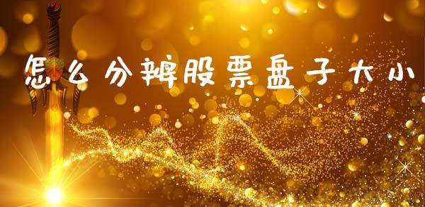 怎么分辨股票盘子大小_https://cj002.lansai.wang_会计问答_第1张