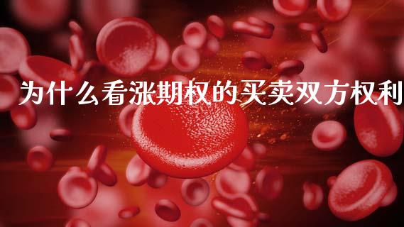 为什么看涨期权的买卖双方权利_https://cj002.lansai.wang_理财问答_第1张