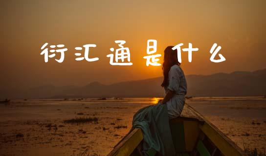衍汇通是什么_https://cj002.lansai.wang_股市问答_第1张