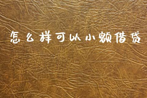 怎么样可以小额借贷_https://cj002.lansai.wang_股市问答_第1张