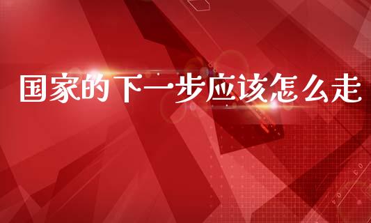 国家的下一步应该怎么走_https://cj002.lansai.wang_金融问答_第1张