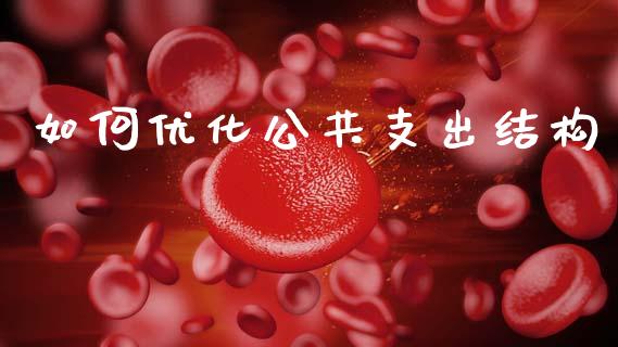 如何优化公共支出结构_https://cj002.lansai.wang_财经问答_第1张