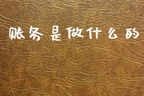 账务是做什么的_https://cj002.lansai.wang_会计问答_第1张