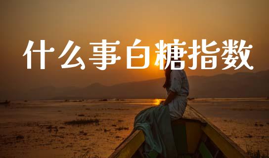 什么事白糖指数_https://cj002.lansai.wang_期货问答_第1张