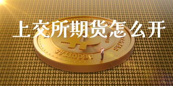 上交所期货怎么开_https://cj002.lansai.wang_期货问答_第1张
