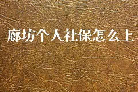 廊坊个人社保怎么上_https://cj002.lansai.wang_保险问答_第1张