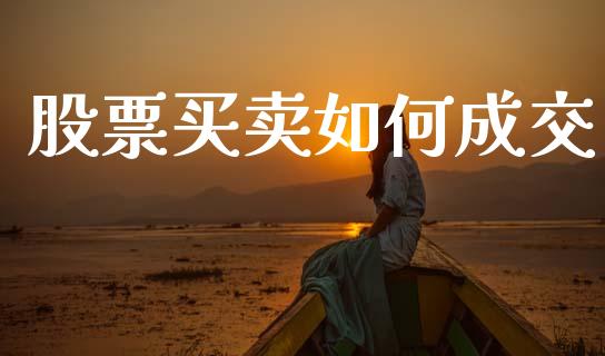 股票买卖如何成交_https://cj002.lansai.wang_财经百问_第1张