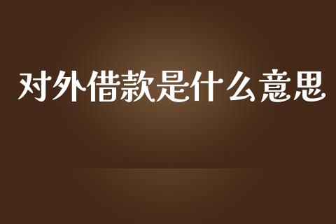 对外借款是什么意思_https://cj002.lansai.wang_期货问答_第1张