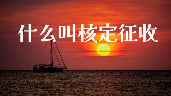 什么叫核定征收_https://cj002.lansai.wang_会计问答_第1张
