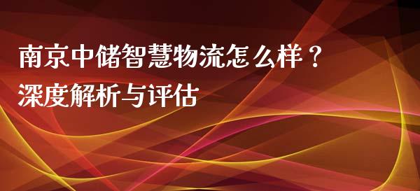 南京中储智慧物流怎么样？深度解析与评估_https://cj002.lansai.wang_财经问答_第1张