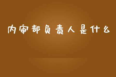 内审部负责人是什么_https://cj002.lansai.wang_会计问答_第1张