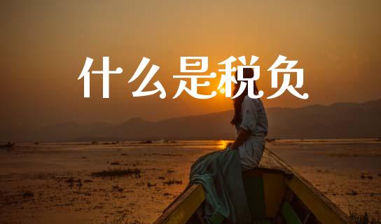 什么是税负_https://cj002.lansai.wang_会计问答_第1张