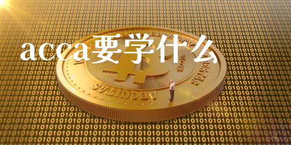acca要学什么_https://cj002.lansai.wang_会计问答_第1张