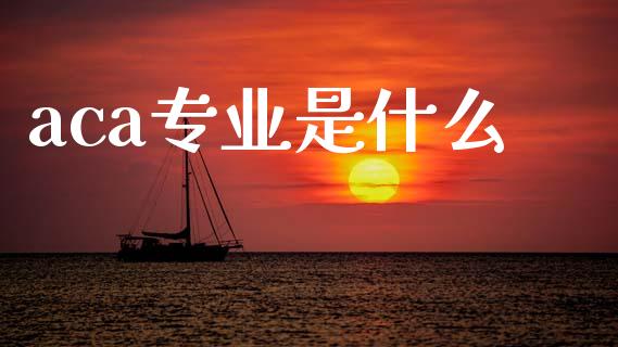 aca专业是什么_https://cj002.lansai.wang_会计问答_第1张