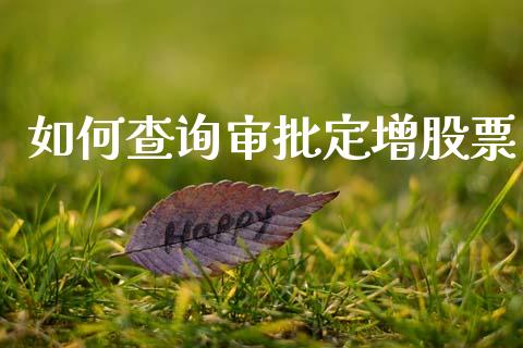 如何查询审批定增股票_https://cj002.lansai.wang_财经问答_第1张