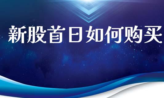 新股首日如何购买_https://cj002.lansai.wang_理财问答_第1张