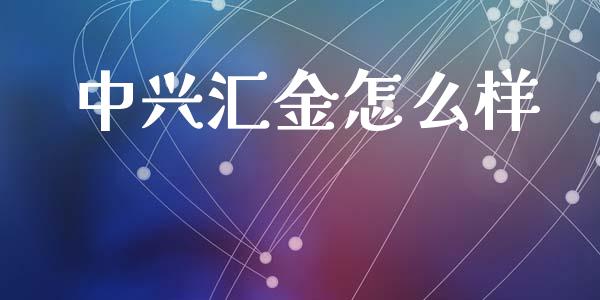 中兴汇金怎么样_https://cj002.lansai.wang_金融问答_第1张