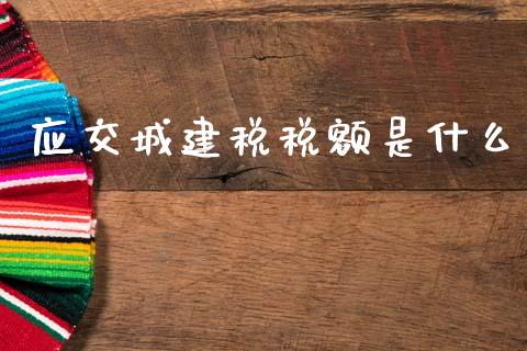 应交城建税税额是什么_https://cj002.lansai.wang_会计问答_第1张