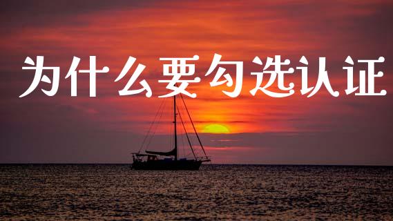 为什么要勾选认证_https://cj002.lansai.wang_会计问答_第1张