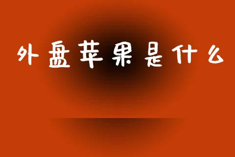 外盘苹果是什么_https://cj002.lansai.wang_会计问答_第1张