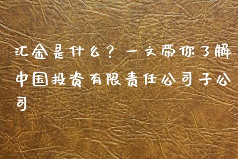 汇金是什么？一文带你了解中国投资有限责任公司子公司_https://cj002.lansai.wang_期货问答_第1张