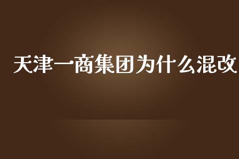 天津一商集团为什么混改_https://cj002.lansai.wang_股市问答_第1张
