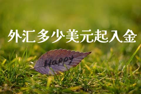 外汇多少美元起入金_https://cj002.lansai.wang_财经问答_第1张