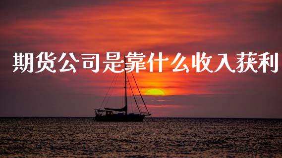 期货公司是靠什么收入获利_https://cj002.lansai.wang_股市问答_第1张