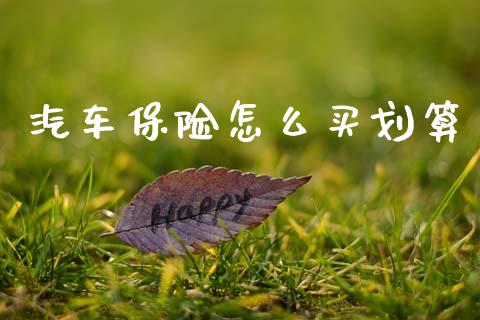 汽车保险怎么买划算_https://cj002.lansai.wang_保险问答_第1张