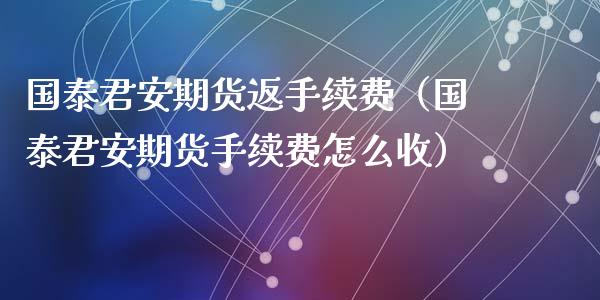 国泰君安期货返手续费(国泰君安期货手续费怎么收)_理财问答_第1张_财经百问网 国泰君安期货返手续费(国泰君安期货手续费怎么收)_https://cj002.lansai.wang_理财问答_第1张