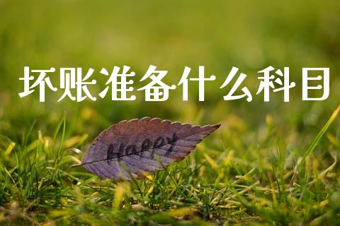 坏账准备什么科目_https://cj002.lansai.wang_会计问答_第1张