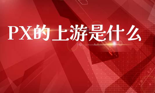 PX的上游是什么_https://cj002.lansai.wang_理财问答_第1张