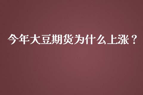 今年大豆期货为什么上涨？_https://cj002.lansai.wang_保险问答_第1张