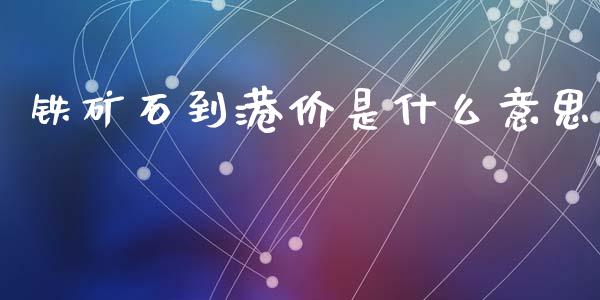 铁矿石到港价是什么意思_https://cj002.lansai.wang_财经问答_第1张