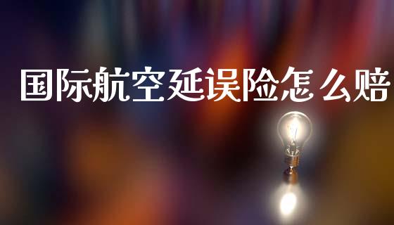 国际航空延误险怎么赔_https://cj002.lansai.wang_保险问答_第1张