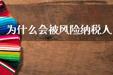 为什么会被风险纳税人_https://cj002.lansai.wang_会计问答_第1张