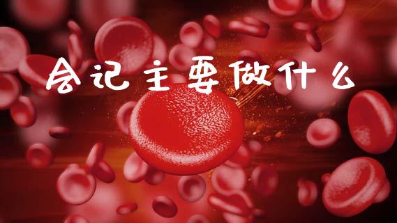 会记主要做什么_https://cj002.lansai.wang_会计问答_第1张