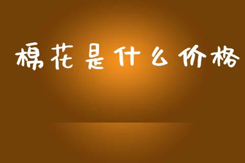 棉花是什么价格_https://cj002.lansai.wang_会计问答_第1张