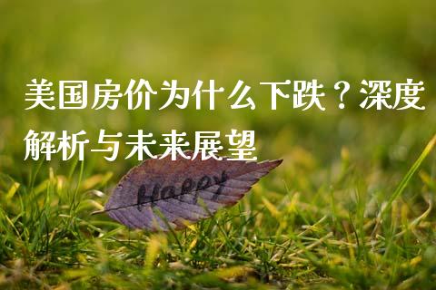 美国房价为什么下跌？深度解析与未来展望_https://cj002.lansai.wang_期货问答_第1张