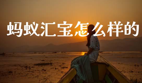 蚂蚁汇宝怎么样的_https://cj002.lansai.wang_财经问答_第1张